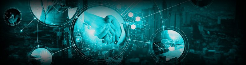Effective Strategies for Managing IT Vendor Relationships